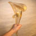 Antique gold sconce vase glass art repaired by Michael Bokrosh