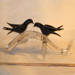 Murano blackbirds glass art repaired by Michael Bokrosh